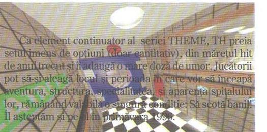 Theme Hospital