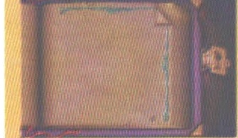 Faded photo illustrating the "Warlord" letter sidebar story