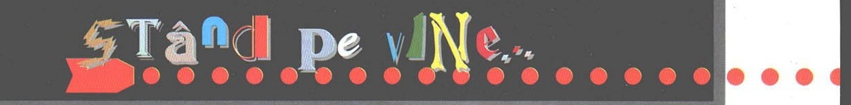 „Stând pe vine..." section banner