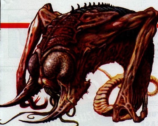 Ilustrație — capul unei creaturi cu tentacule și coarne