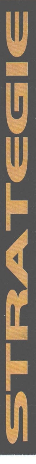 Side-tab vertical „STRATEGIE"