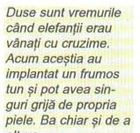 Caseta de legendă „Duse sunt vremurile când elefanții erau vânați cu cruzime..."