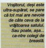 Vrajitorul, deși este ultra-supărat, se pare că tot mai are nevoie de câte ceva de la vrăjitoarea satului. Sau poate, așa... ca-ntre colegi de breaslă.