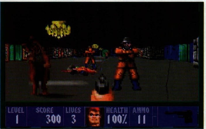 Imagine din Wolfenstein 3D, cu bara LEVEL / SCORE / LIVES / HEALTH / AMMO. Legenda din pagină: „Wolfenstein, jocul cu care id-ul și Apogee au deschis o nouă eră în lumea jocurilor pe calculator."