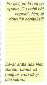Coloana galbenă de margine cu cele două comentarii ale autorului