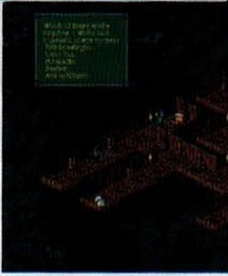Captură: un dungeon la interior