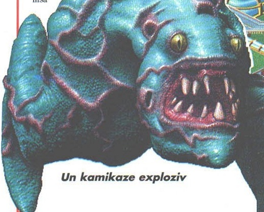 Un kamikaze exploziv
