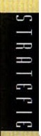 Eticheta verticală de gen din marginea exterioară a paginii 19: STRATEGIE