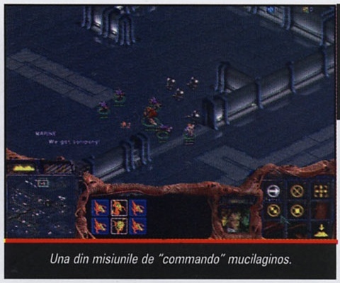 Una din misiunile de “commando” mucilaginos.