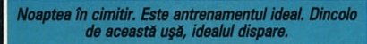 Noaptea în cimitir. Este antrenamentul ideal. Dincolo de această ușă, idealul dispare.