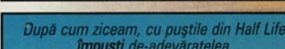 După cum ziceam, cu puștile din Half Life împuști de-adevăratelea