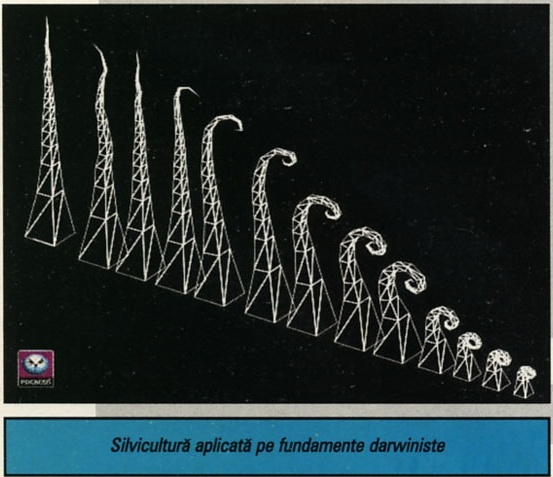 Silvicultură aplicată pe fundamente darwiniste