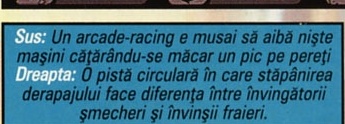 Sus: Un arcade-racing e musai să aibă niște mașini cățărându-se măcar un pic pe pereți. Dreapta: O pistă circulară în care stăpânirea derapajului face diferența între învingătorii șmecheri și învinșii fraieri.