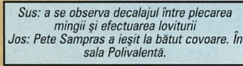 Caseta de comentarii la poze, așa cum a fost tipărită