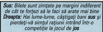 Caseta de comentarii la poze, așa cum a fost tipărită